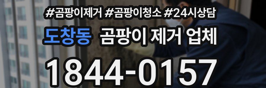 도창동 곰팡이 제거 업체