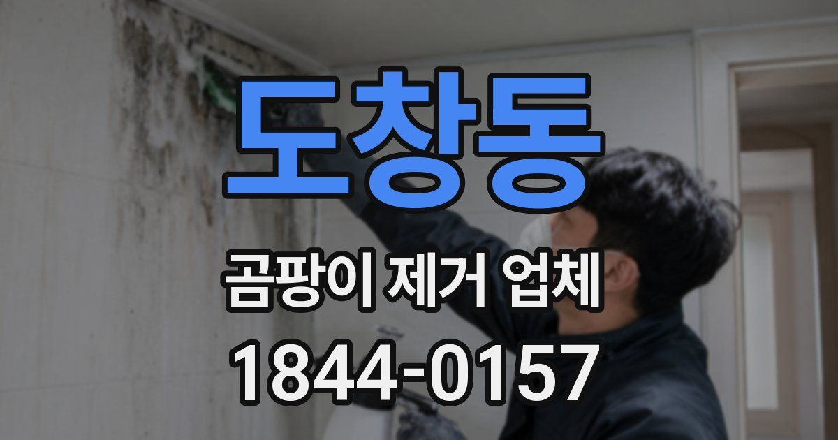 도창동 곰팡이 제거 업체