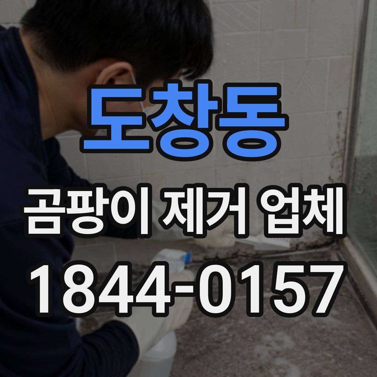 도창동 곰팡이 제거 업체