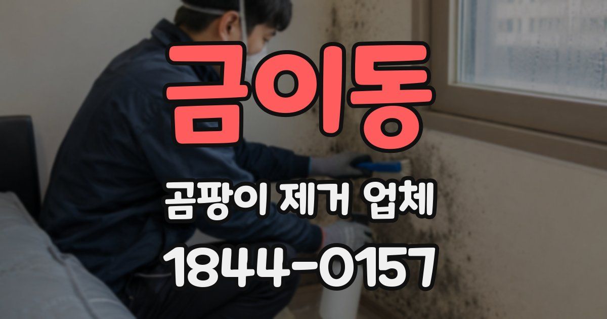 금이동 곰팡이 제거 업체
