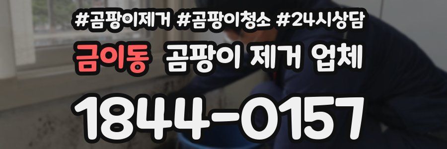 금이동 곰팡이 제거 업체