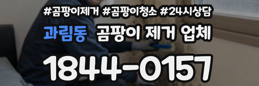 과림동 곰팡이 제거 업체
