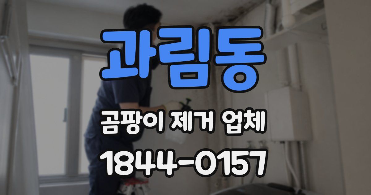 과림동 곰팡이 제거 업체