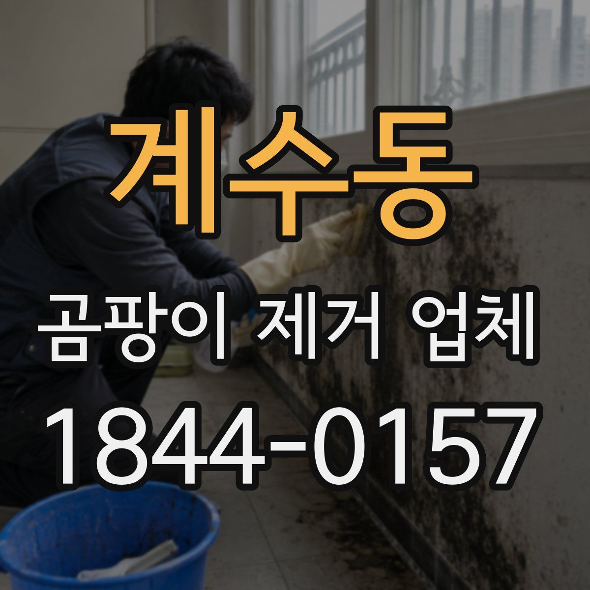 계수동 곰팡이 제거 업체