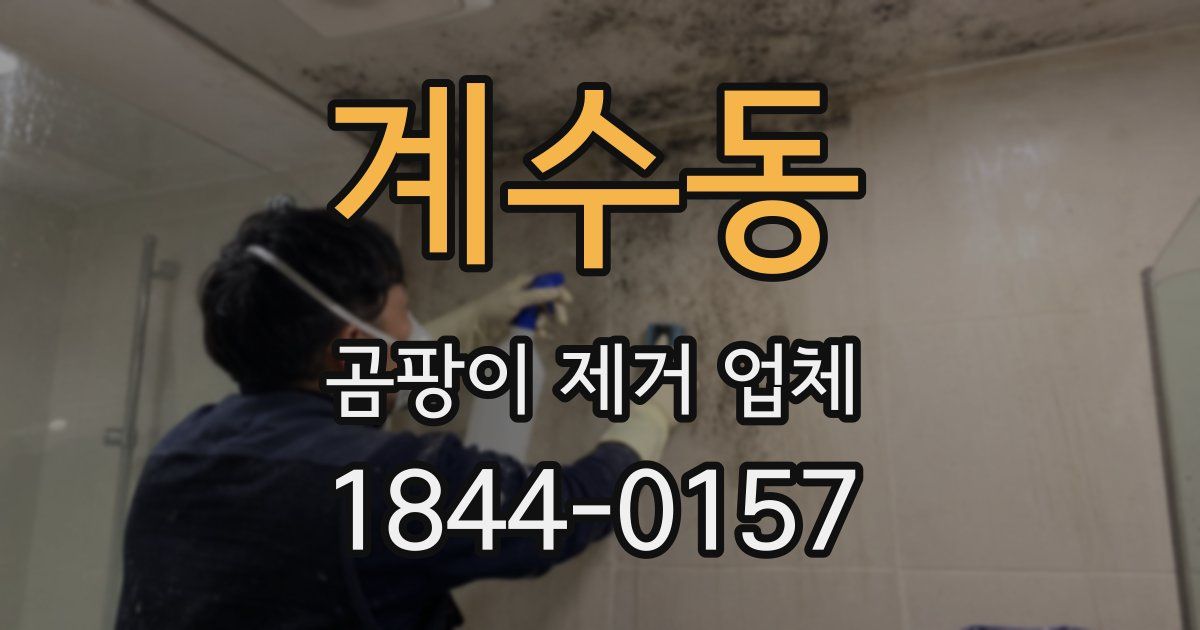 계수동 곰팡이 제거 업체