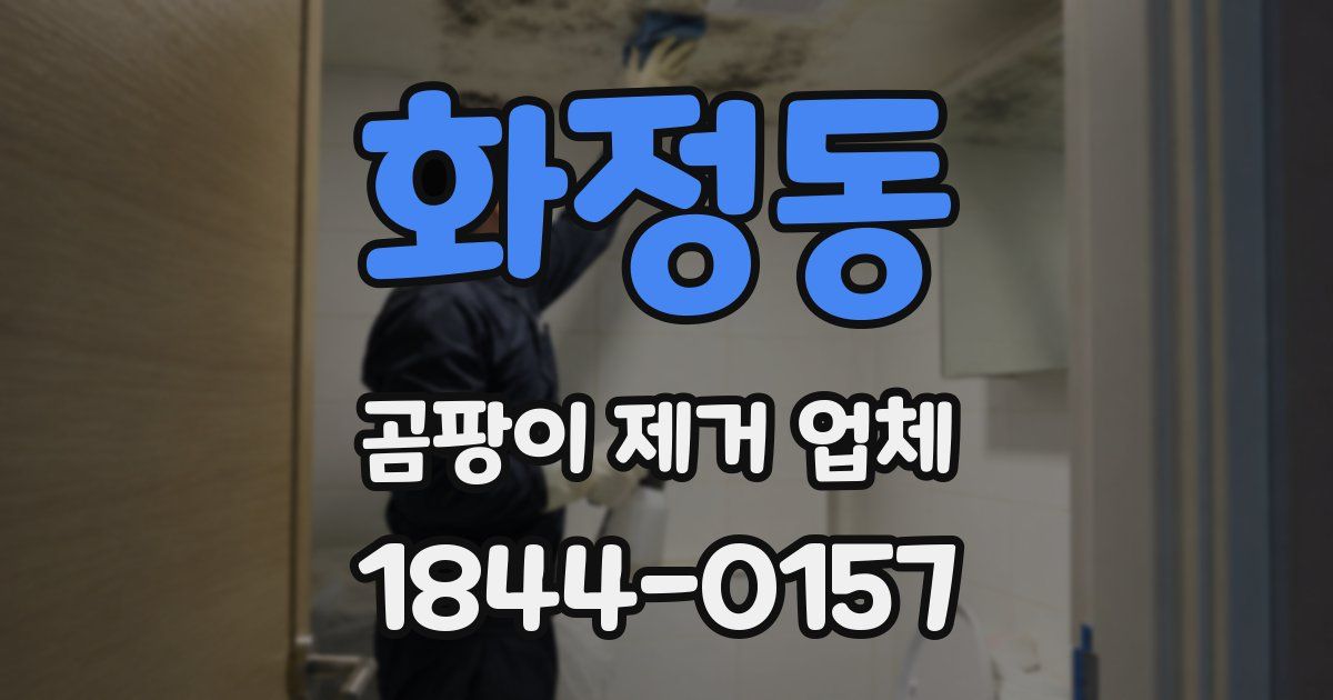 화정동 곰팡이 제거 업체
