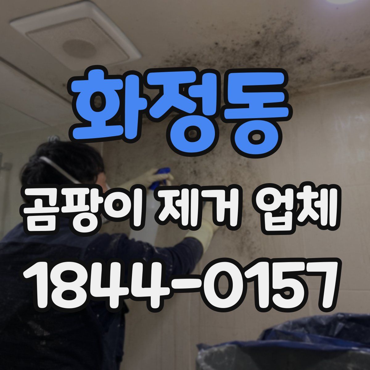 화정동 곰팡이 제거 업체