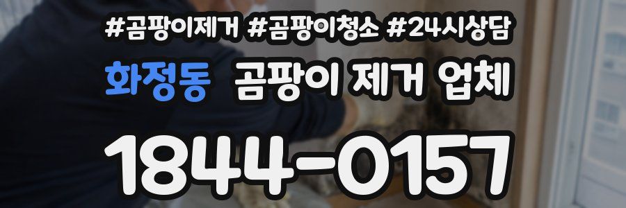화정동 곰팡이 제거 업체