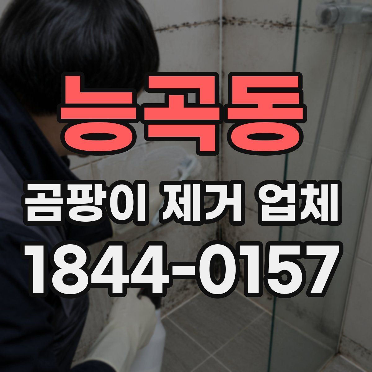 능곡동 곰팡이 제거 업체