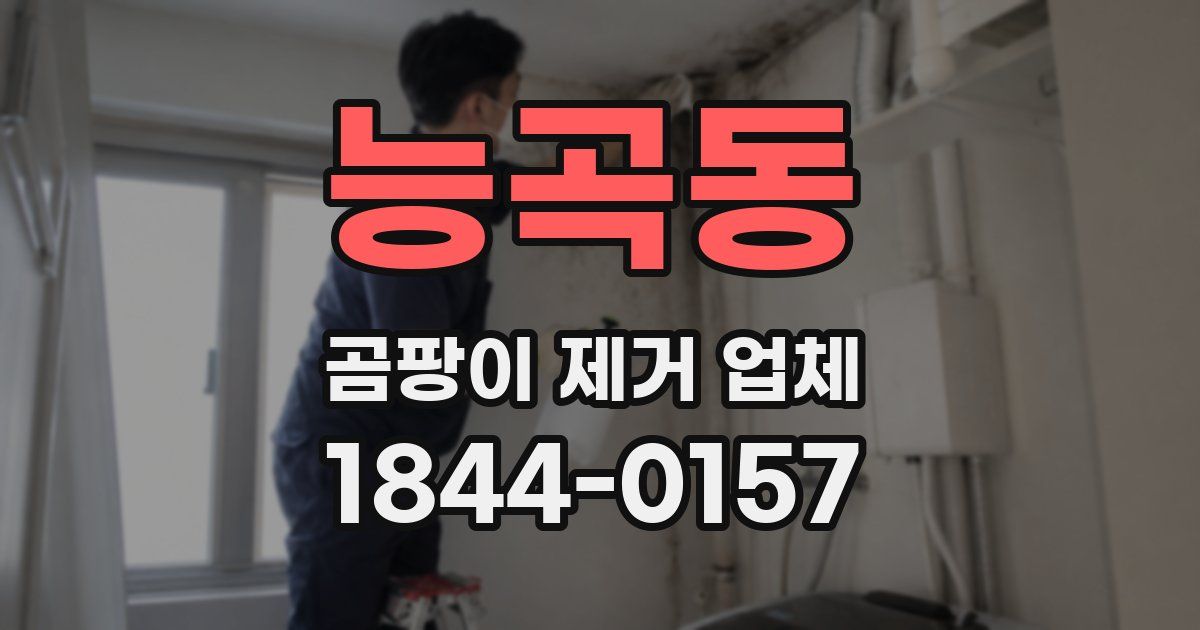 능곡동 곰팡이 제거 업체