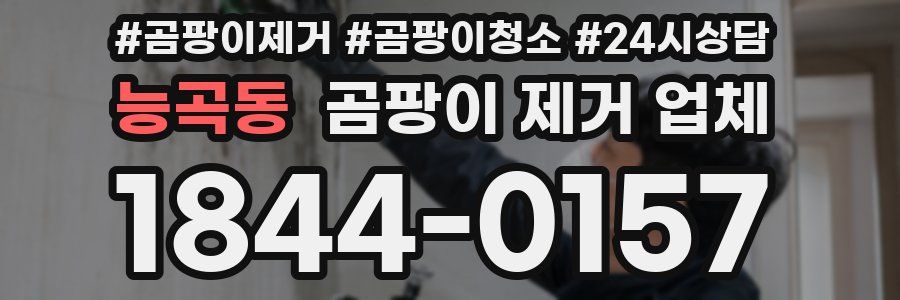 능곡동 곰팡이 제거 업체