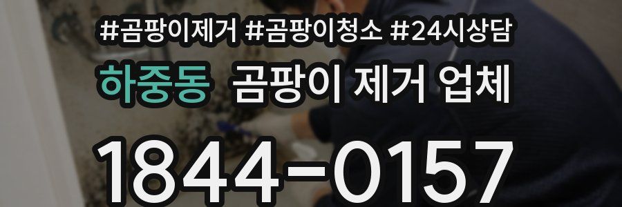하중동 곰팡이 제거 업체