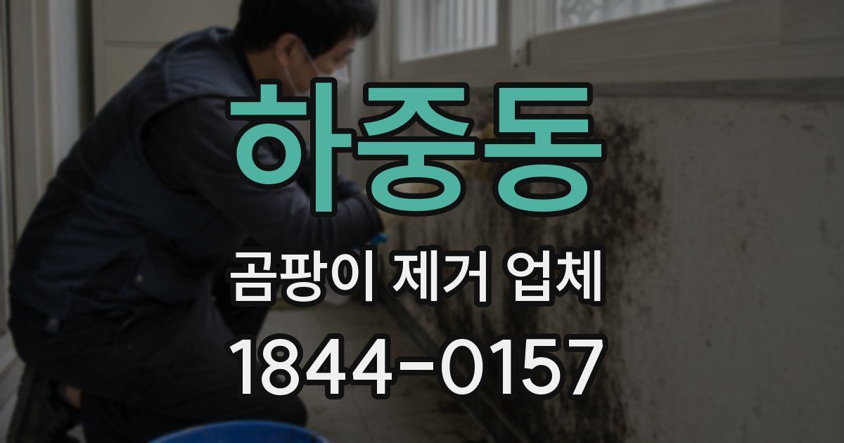 하중동 곰팡이 제거 업체