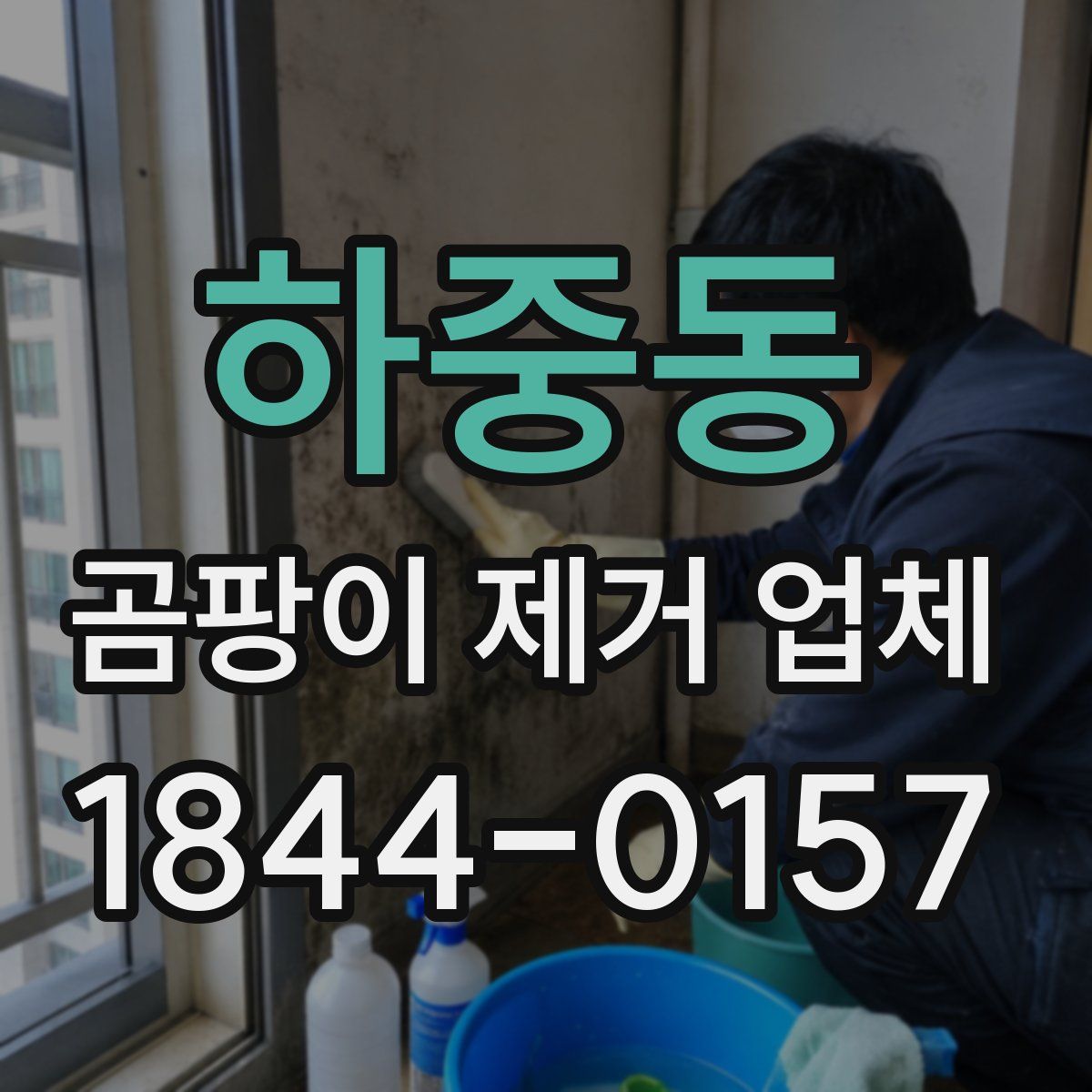 하중동 곰팡이 제거 업체