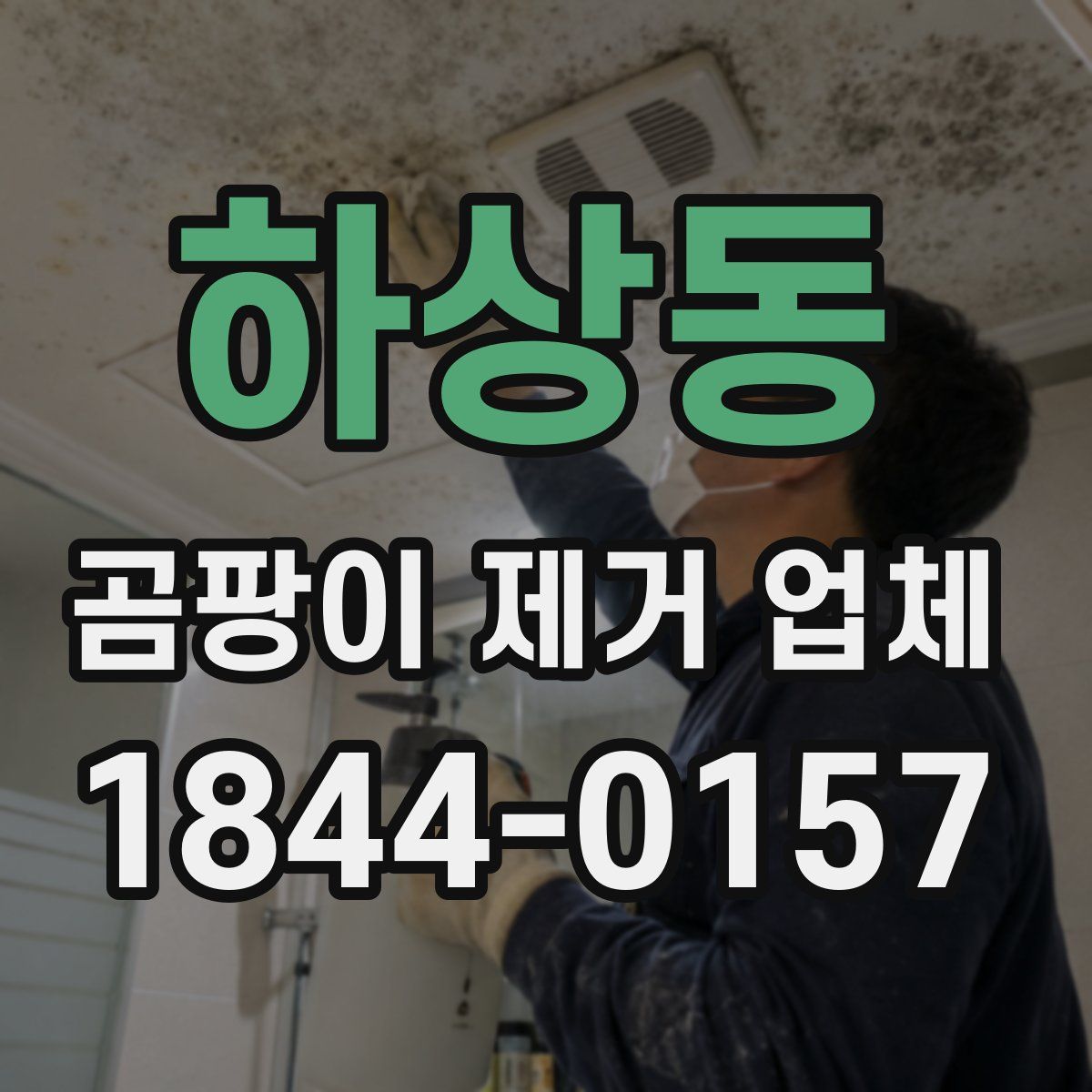 하상동 곰팡이 제거 업체
