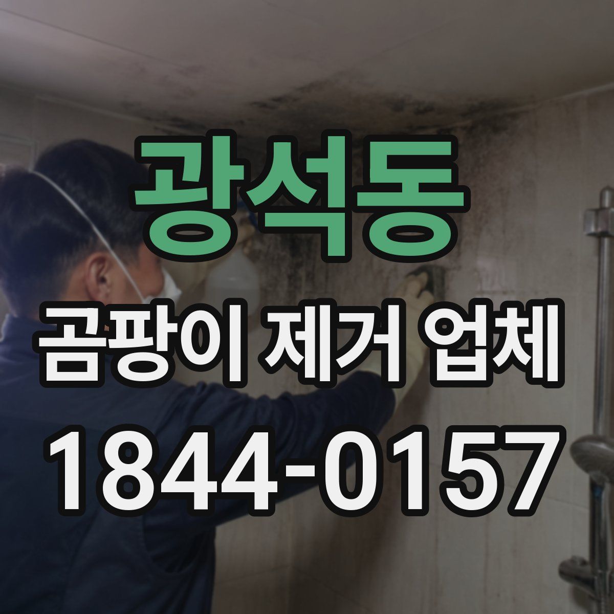 광석동 곰팡이 제거 업체