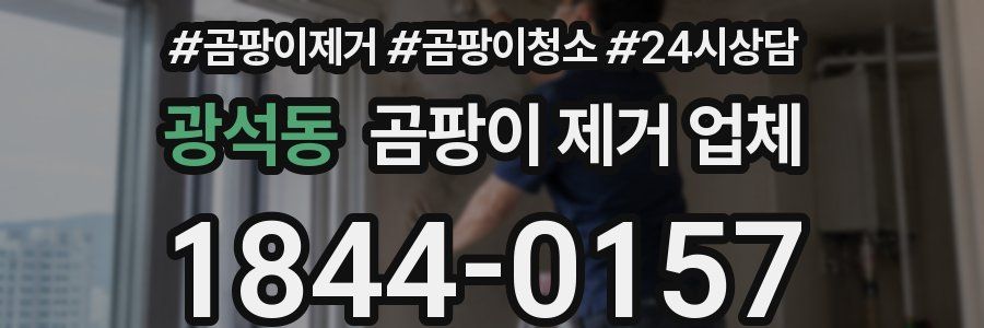 광석동 곰팡이 제거 업체