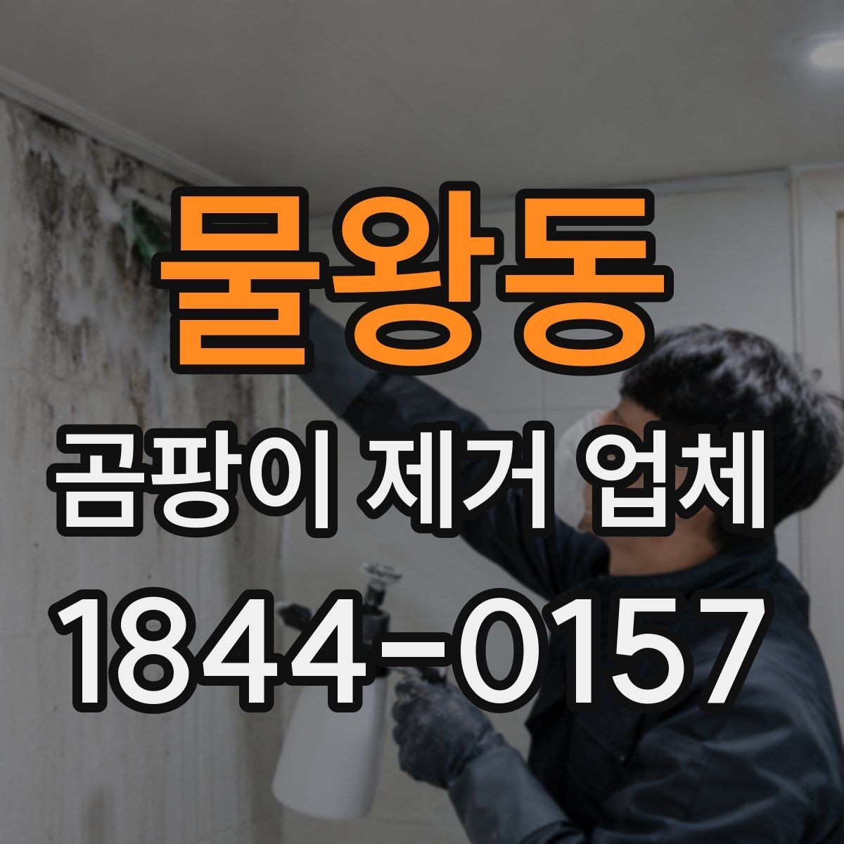 물왕동 곰팡이 제거 업체 재발 방지를 위해 시공 뒤 확인할 것