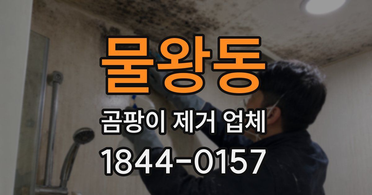 물왕동 곰팡이 제거 업체
