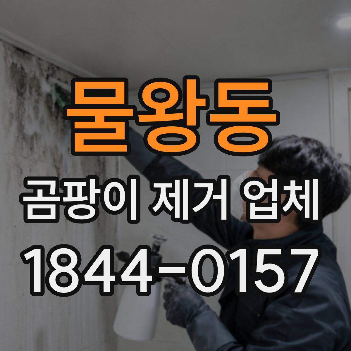 물왕동 곰팡이 제거 업체