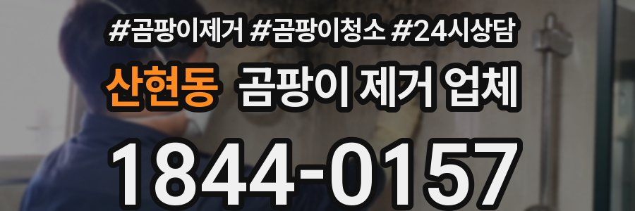 산현동 곰팡이 제거 업체