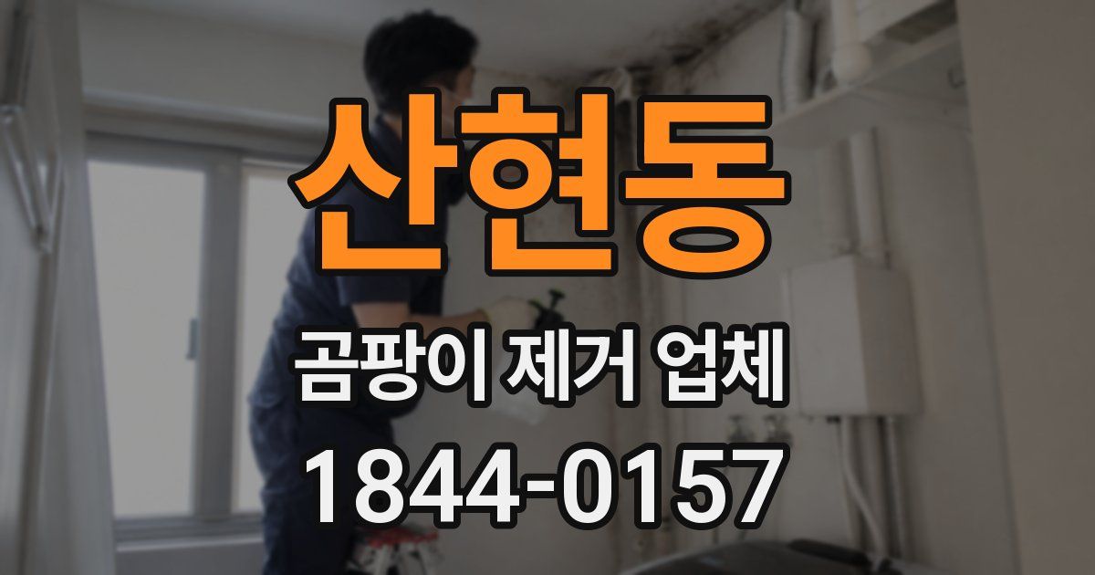 산현동 곰팡이 제거 업체