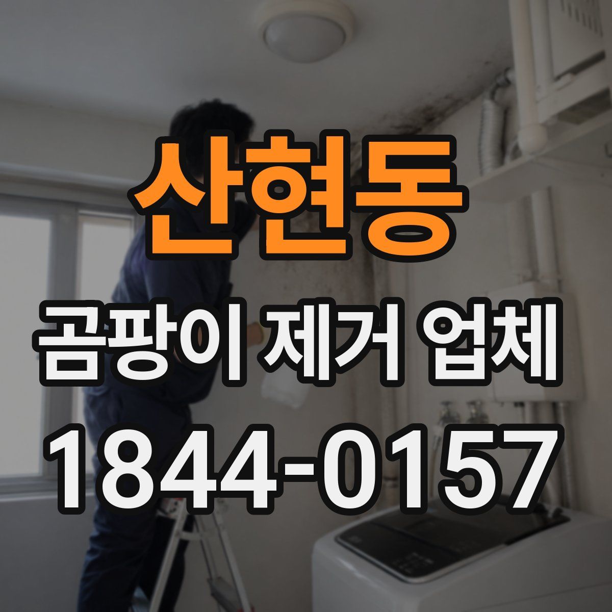 산현동 곰팡이 제거 업체