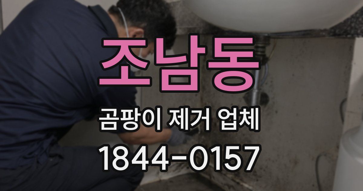 조남동 곰팡이 제거 업체