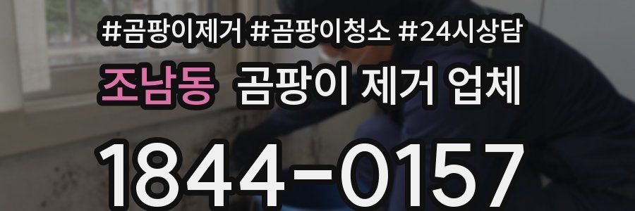 조남동 곰팡이 제거 업체