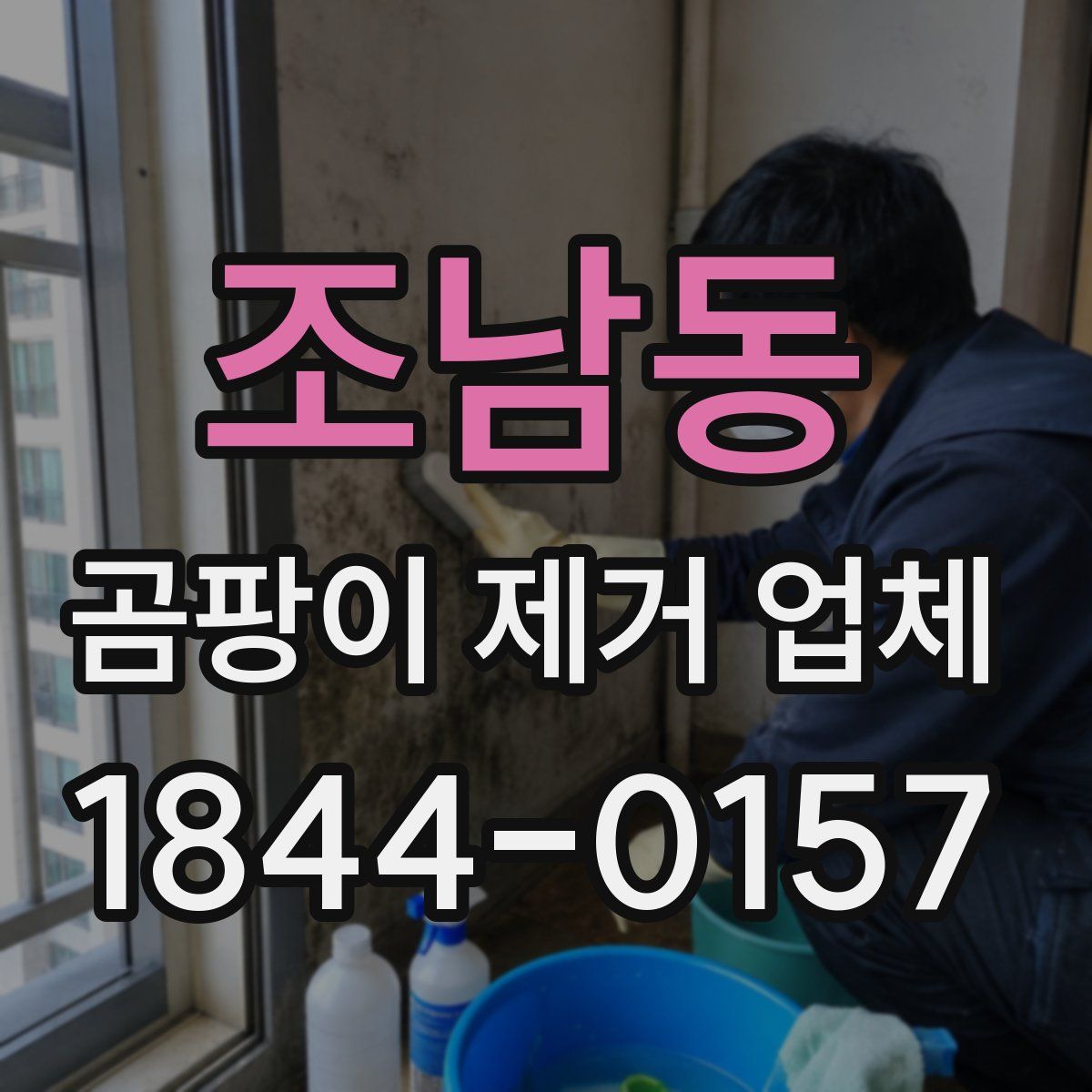 조남동 곰팡이 제거 업체