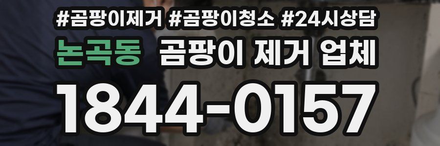 논곡동 곰팡이 제거 업체