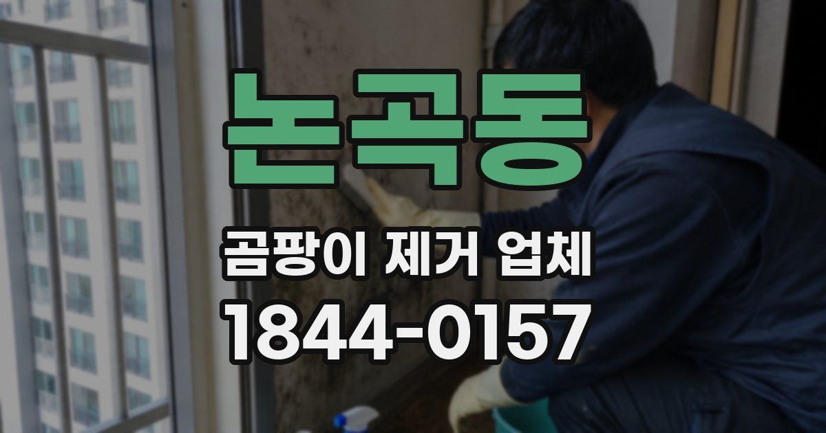 논곡동 곰팡이 제거 업체