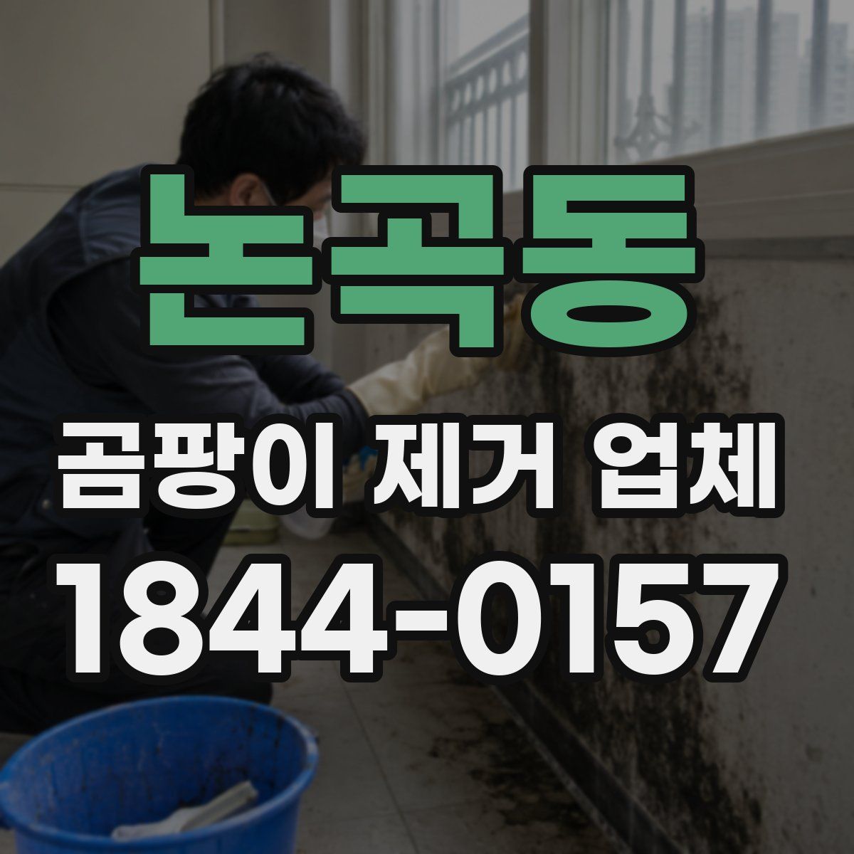 논곡동 곰팡이 제거 업체