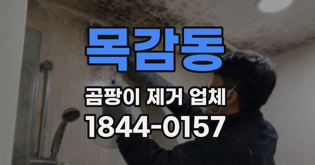 목감동 곰팡이 제거 업체