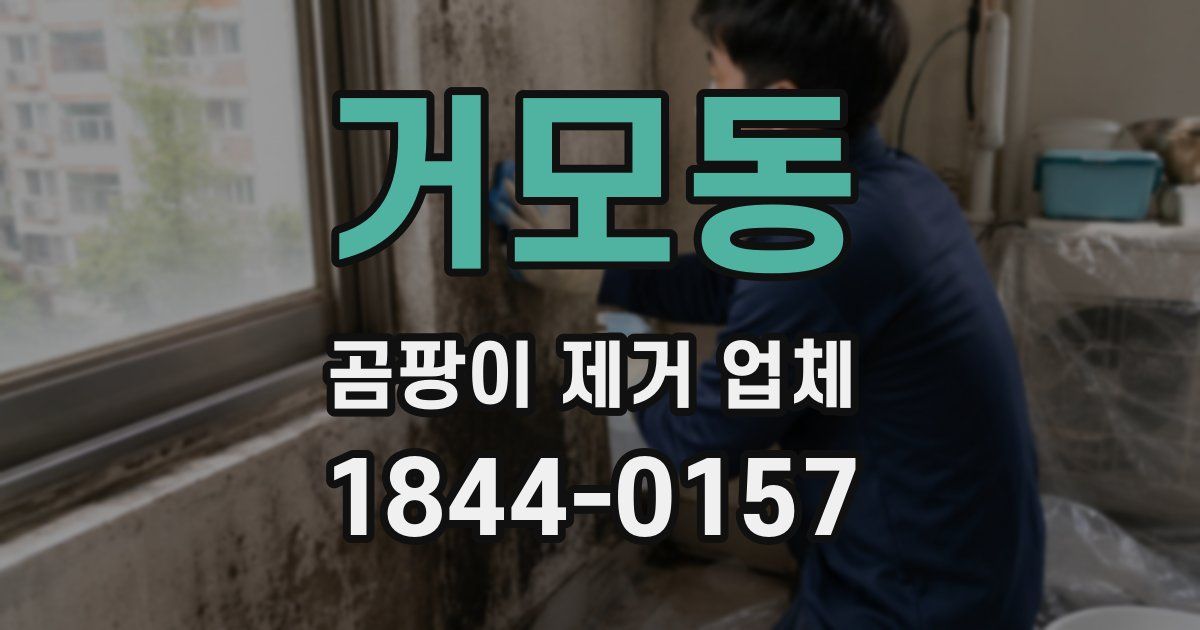 거모동 곰팡이 제거 업체