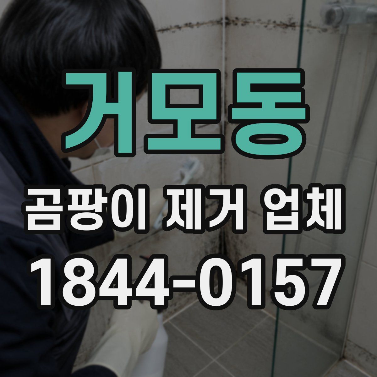 거모동 곰팡이 제거 업체