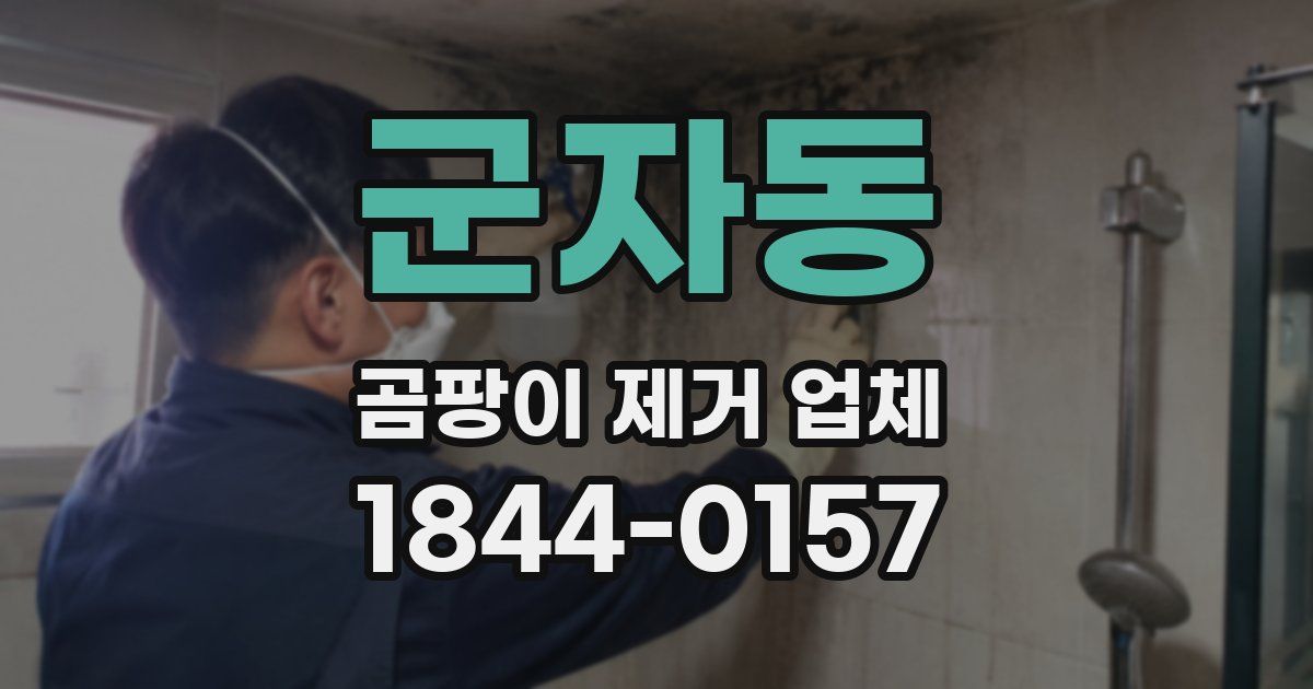 군자동 곰팡이 제거 업체