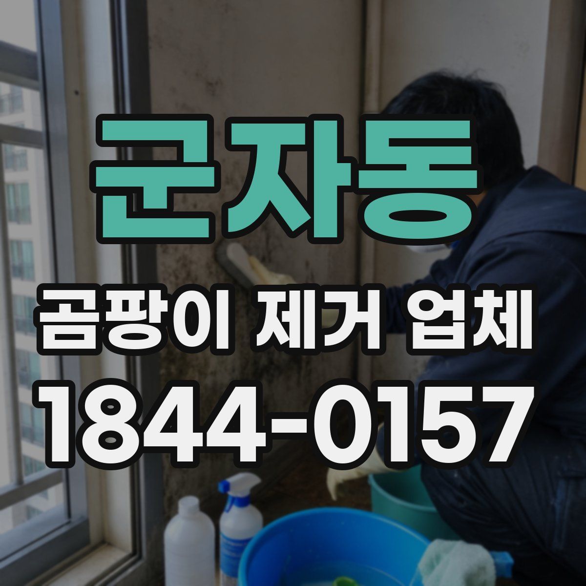 군자동 곰팡이 제거 업체