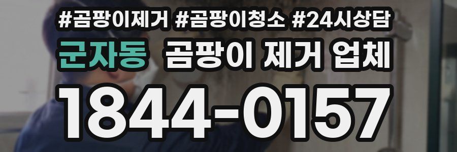 군자동 곰팡이 제거 업체