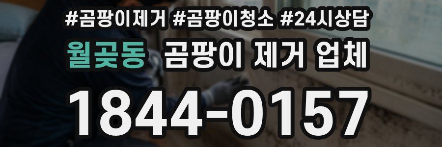 월곶동 곰팡이 제거 업체