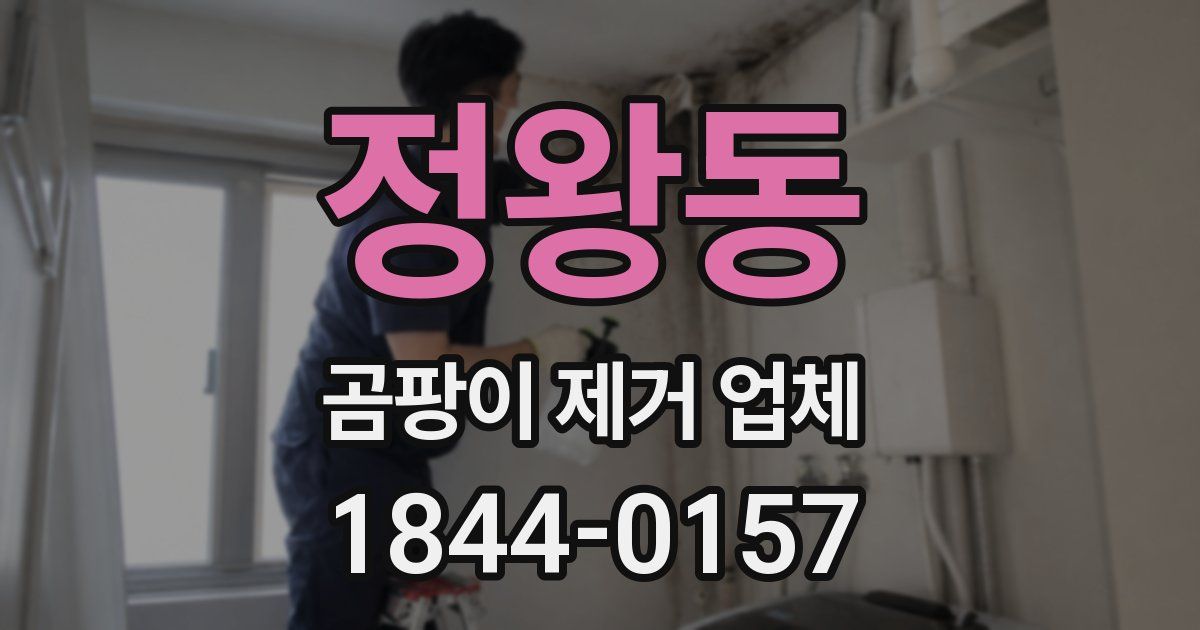 정왕동 곰팡이 제거 업체