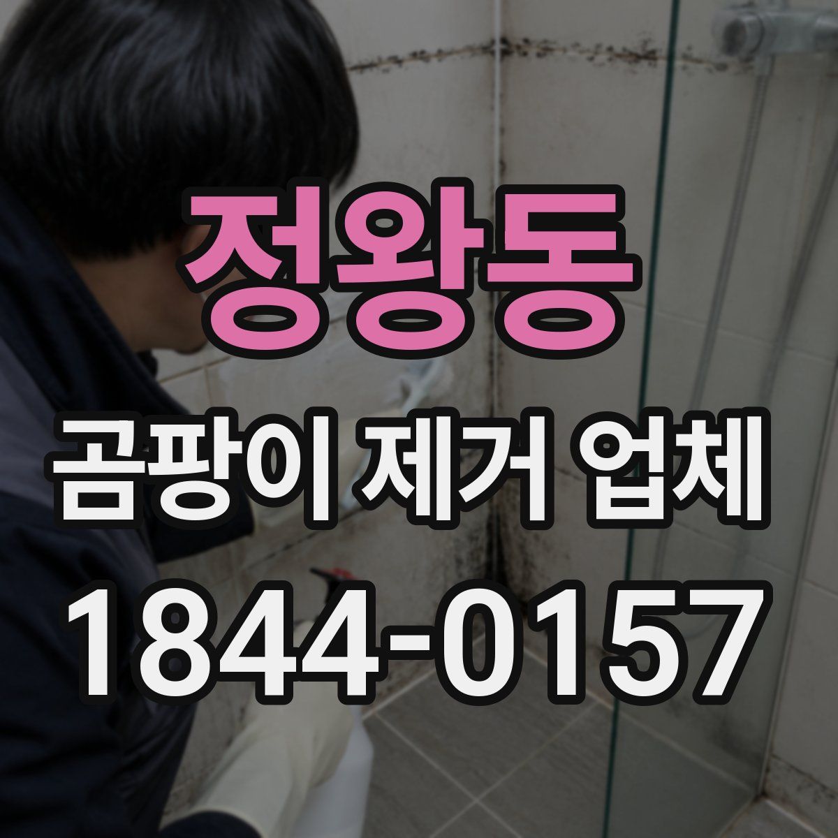 정왕동 곰팡이 제거 업체