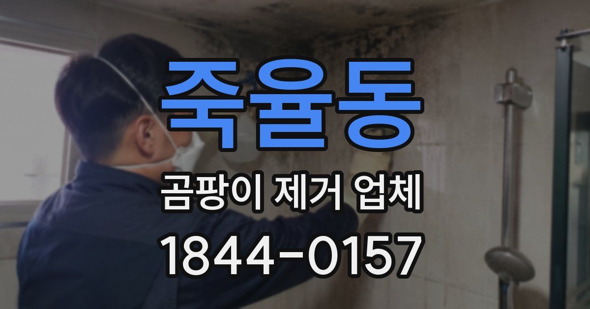 죽율동 곰팡이 제거 업체