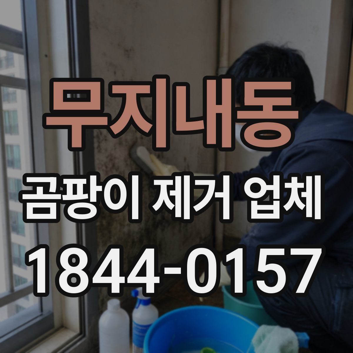 무지내동 곰팡이 제거 업체