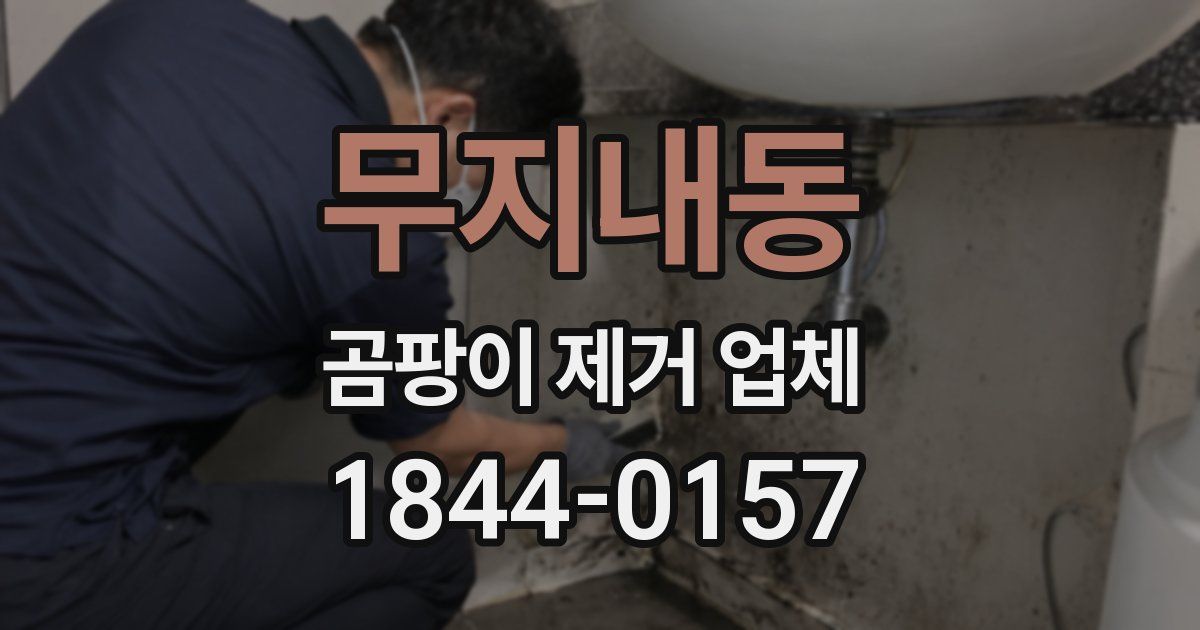 무지내동 곰팡이 제거 업체