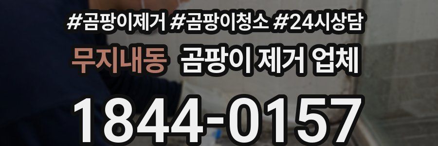무지내동 곰팡이 제거 업체