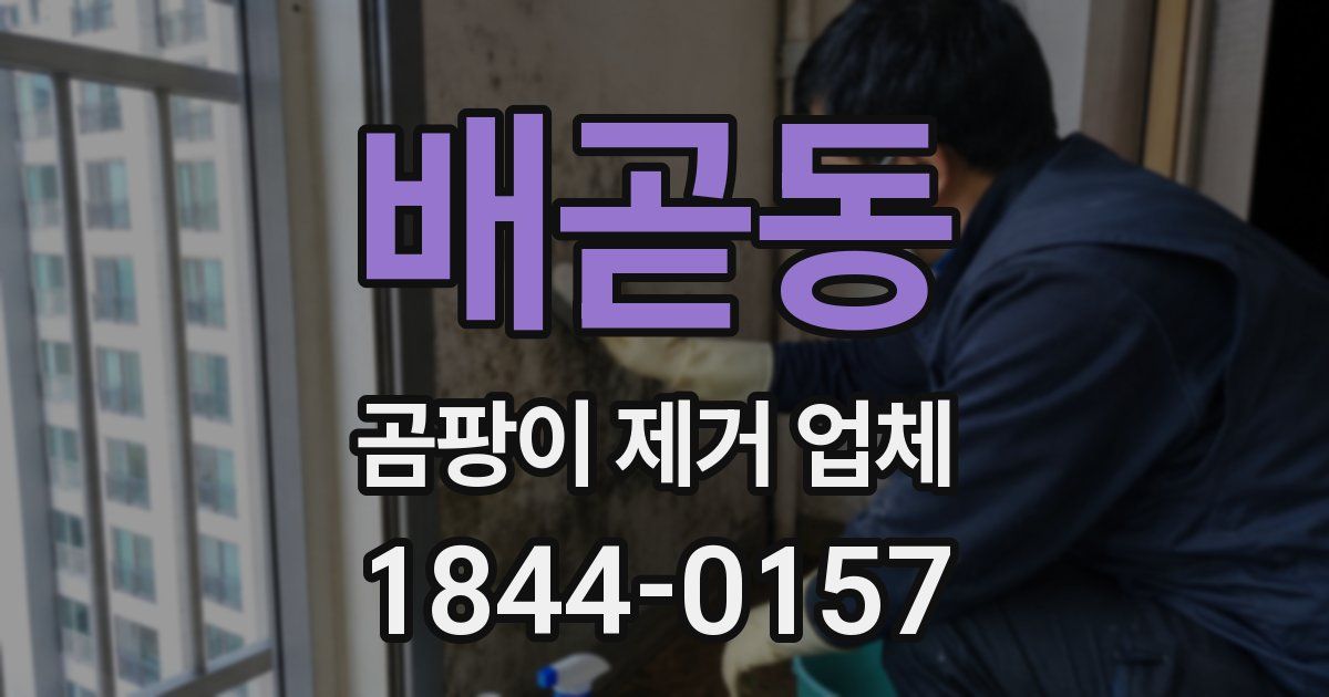 배곧동 곰팡이 제거 업체