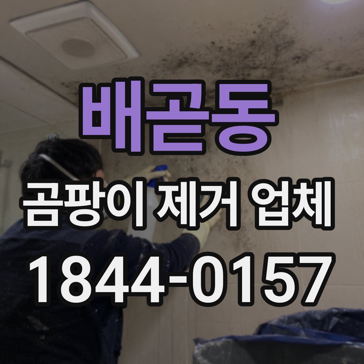 배곧동 곰팡이 제거 업체