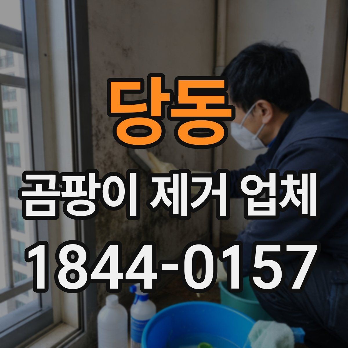 당동 곰팡이 제거 업체 오염 부위별 제거 계획 세우는 법