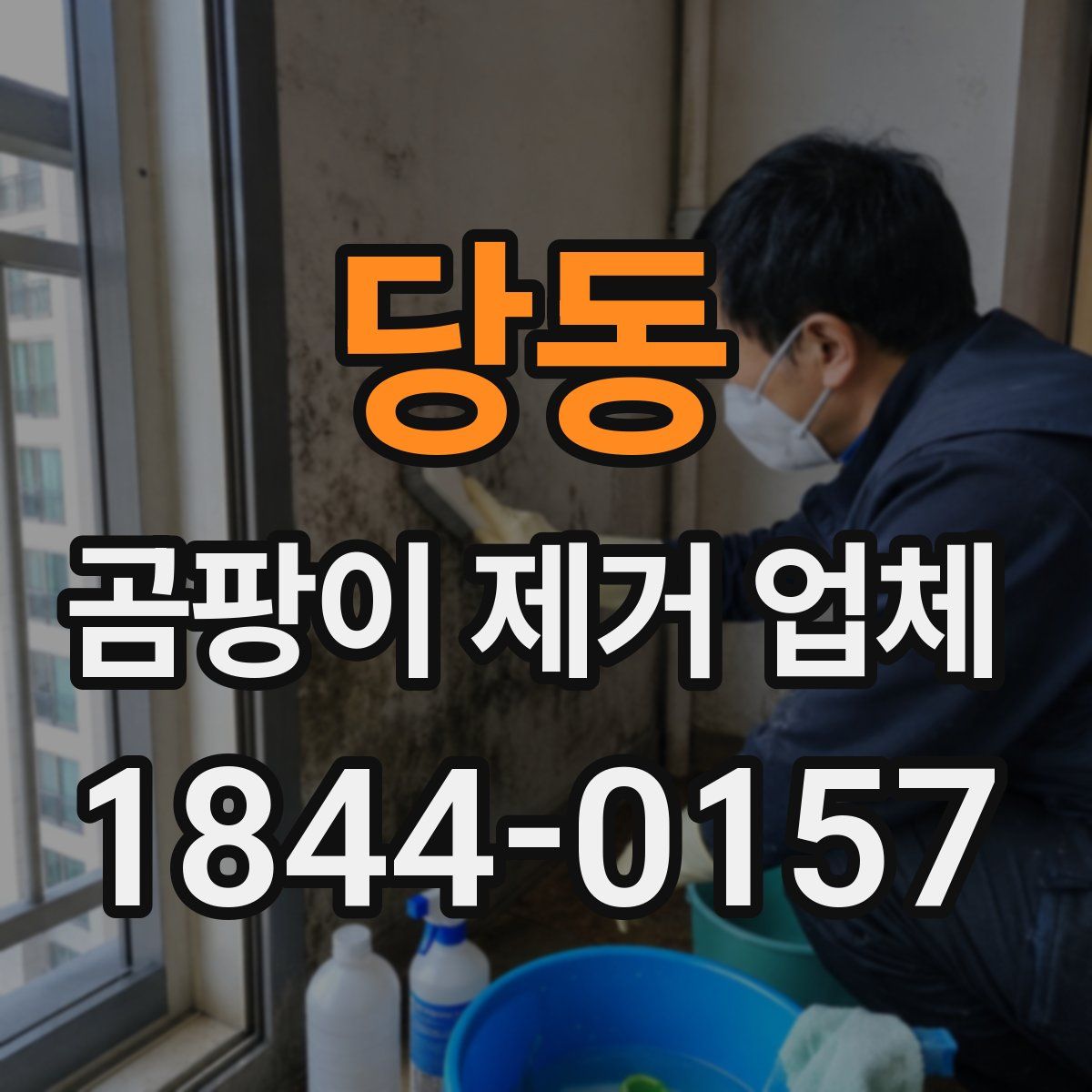 당동 곰팡이 제거 업체
